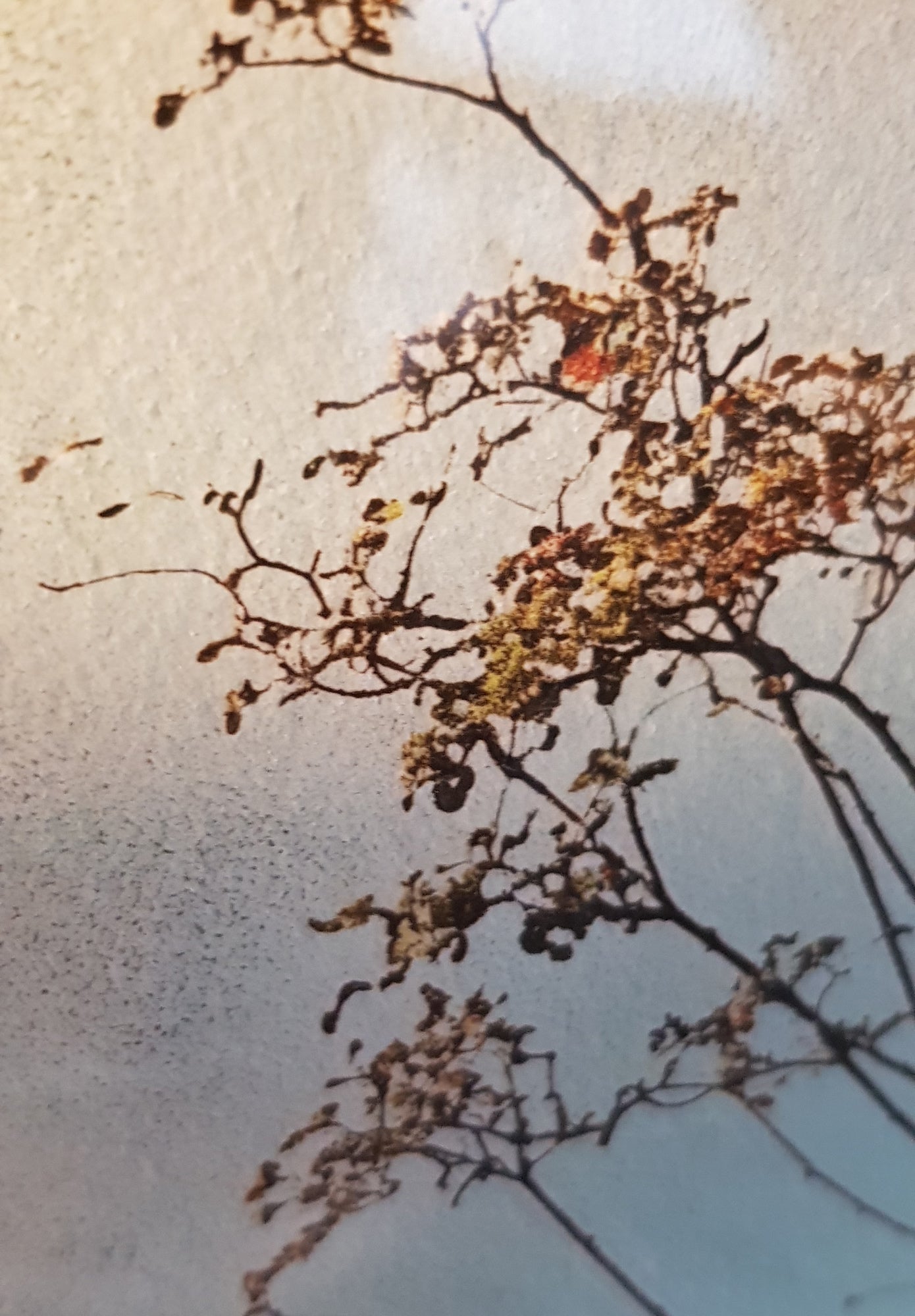 Reflections 1 of 3 - 63cm x 63cm Including Frame