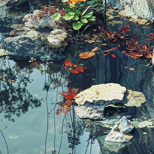 Reflections 3 of 3 - 63cm x 63cm Including Frame