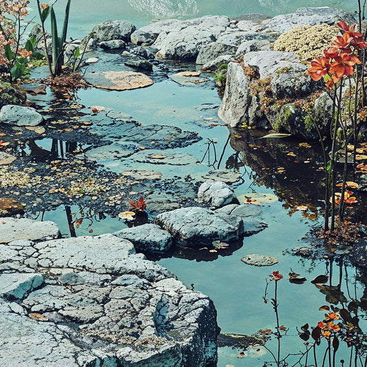 Reflections 2 of 3 - 63cm x 63cm Including Frame